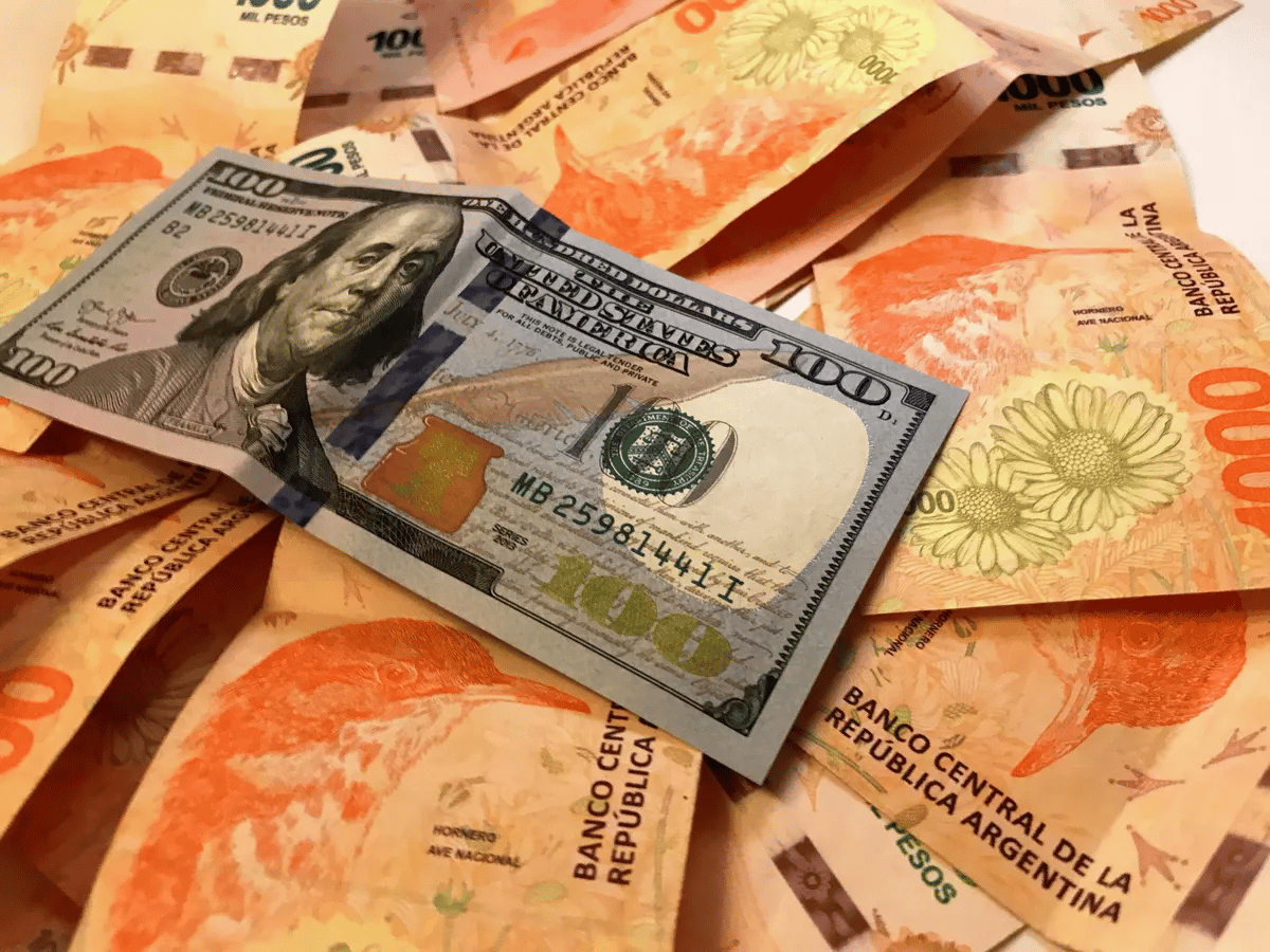 Cómo queda el salario mínimo vital y móvil en dólares en julio 2025