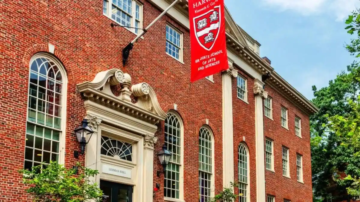 Harvard cursos gratis: Cómo estudiar programación desde Argentina