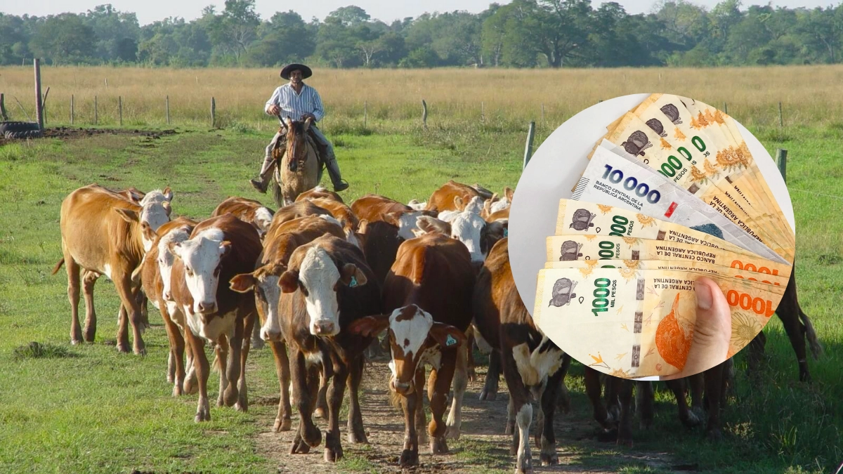 Cuánto cobra un peón rural con el aumento de agosto 2025