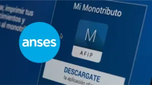 ANSES: Así quedan las Asignaciones para Monotributistas en febrero 2026
