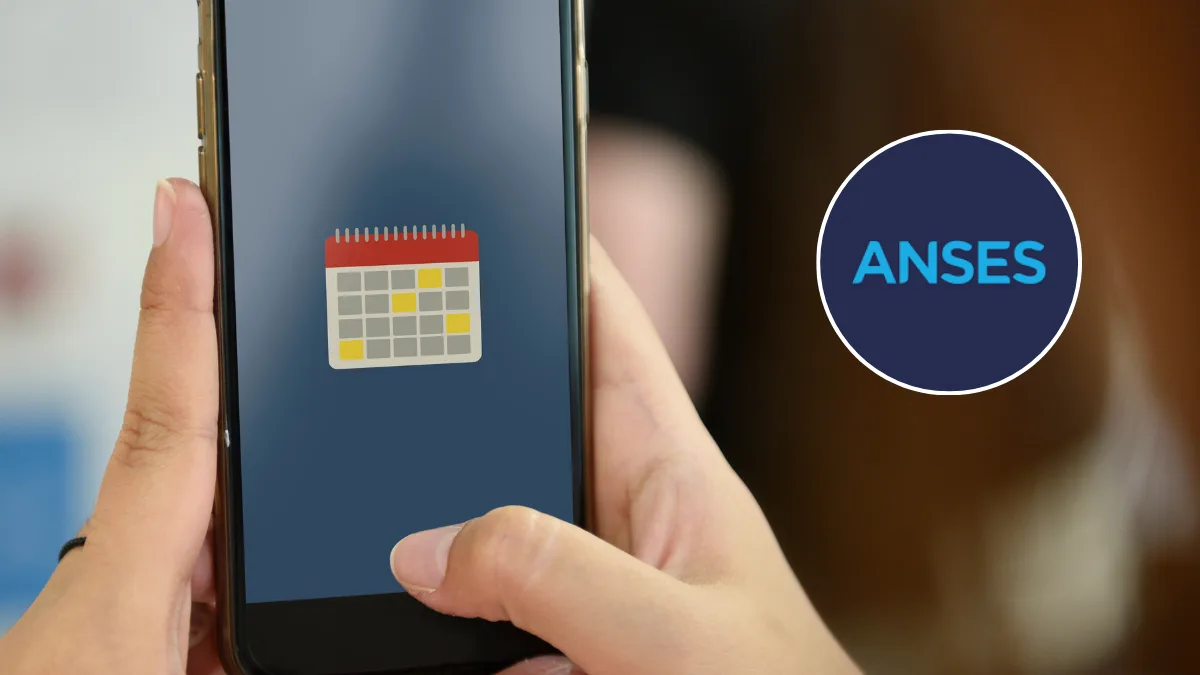 anses 2026