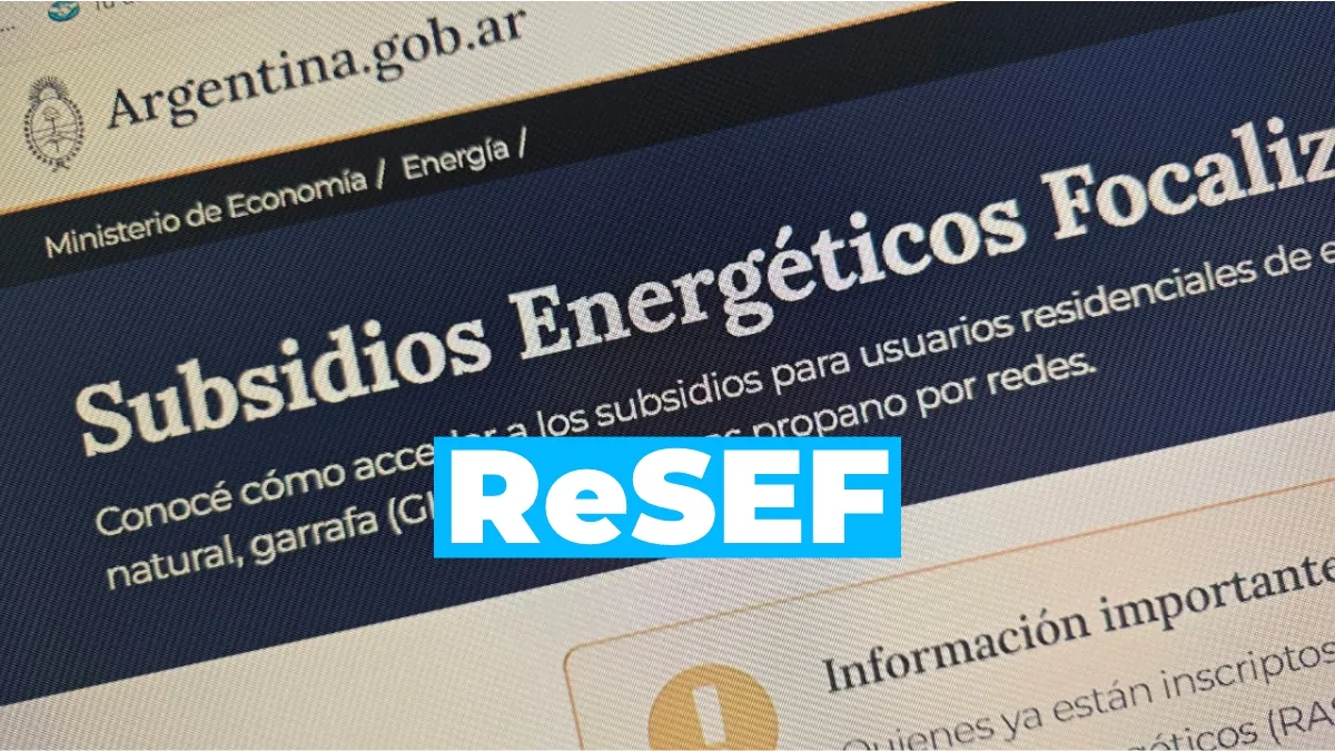 ReSEF: Todo lo que tenés que saber del nuevo sistema de subsidio de gas, luz y garrafas