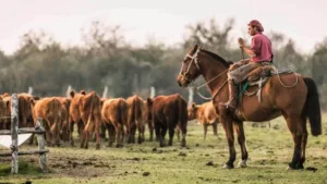 Paritaria UATRE 2026: Nuevo aumento y escalas para trabajadores rurales hasta mayo