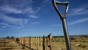 Cuanto cobra un peón rural en abril 2026 con el nuevo aumento