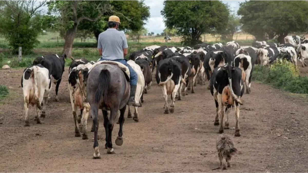 programa empleo rural