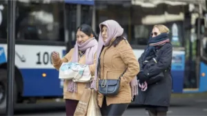Plan Invierno 2026: Cómo se controlará el suministro de gas y luz ante las bajas temperaturas