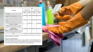 Niñeras y empleados domésticos: ¿Cuánto se cobra en julio y agosto 2026 con los nuevos aumentos?