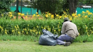 JARDINEROS: Todos los sueldos a cobrar en octubre 2026
